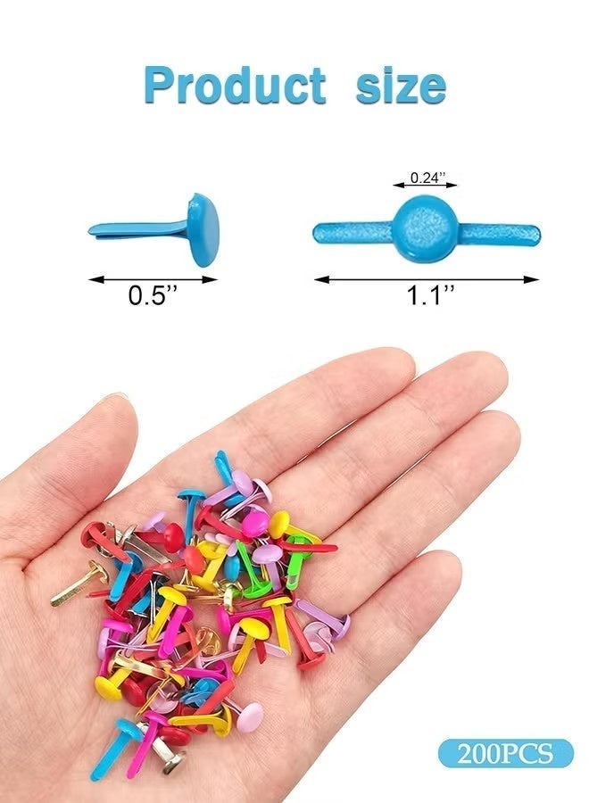 200 قطعة من دبابيس التثبيت متعددة الألوان، دبابيس تثبيت دائرية لسجل القصاصات، دبابيس تثبيت ورقية، دبابيس تثبيت للحرف اليدوية والفنون والمشاريع المدرسية ومستلزمات سجل القصاصات الزخرفية (0.24 × 0.5 بوصة) - Image 2